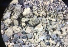 Chrysotile asbestos found in a soil sample